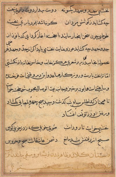 Sida från Tales of a Parrot (Tuti-nama): textsida av Unknown artist