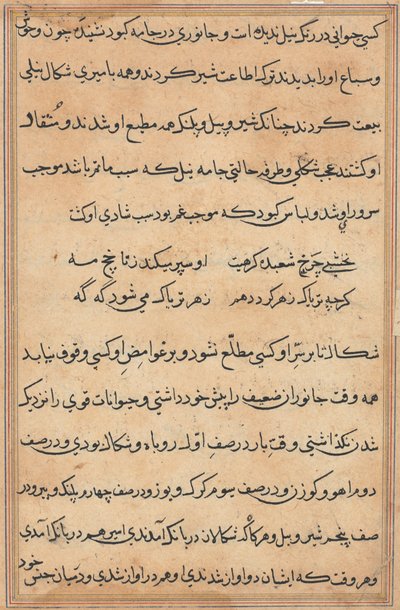 Sida från Tales of a Parrot (Tuti-nama): textsida av Unknown artist