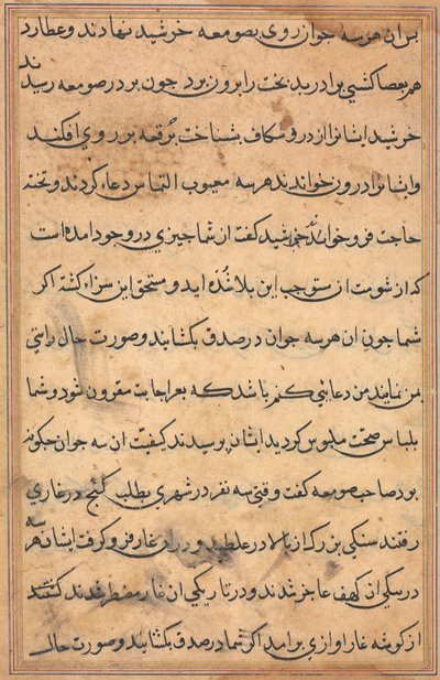 Sida från Tales of a Parrot (Tuti-nama): textsida av Unknown artist