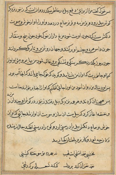 Sida från Tales of a Parrot (Tuti-nama): textsida av Unknown artist