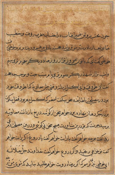 Sida från Tales of a Parrot (Tuti-nama): textsida av Unknown artist