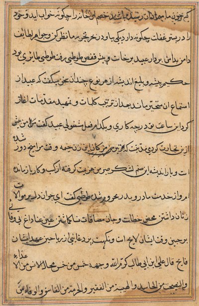 Sida från Tales of a Parrot (Tuti-nama): textsida av Unknown artist