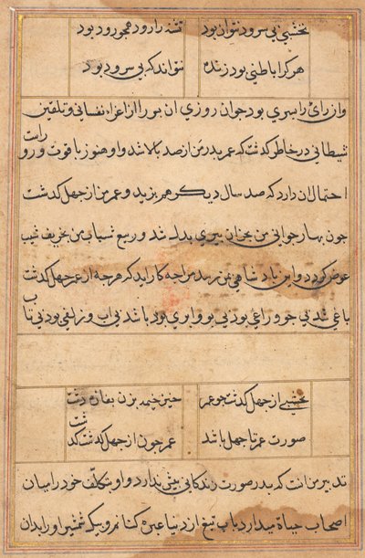 Sida från Tales of a Parrot (Tuti-nama): textsida av Unknown artist