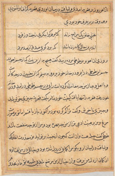 Sida från Tales of a Parrot (Tuti-nama): textsida av Unknown artist