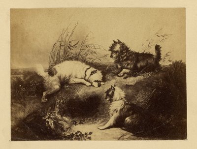 [Målning av hundar av Charles Tomkins] av Unknown artist
