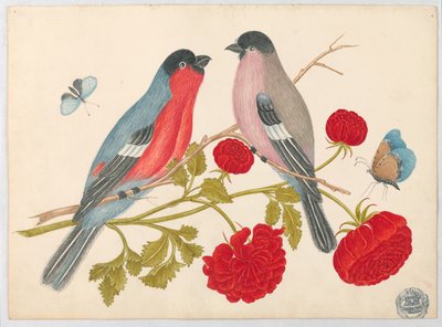 Ett par fåglar på gren med rosor och fjärilar av Unknown artist