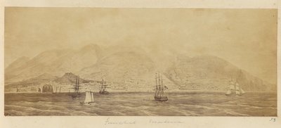 [Panorama över hamnen, Funchal, Madeira] av Unknown artist