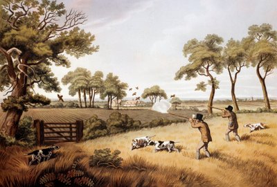 Rapphönsjaktscen: 1800-talslitografi Gien, jaktmuseum av Unknown artist