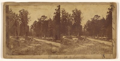 [Plank road to Lowella] (recto); [Oidentifierad stad] (verso) av Unknown artist