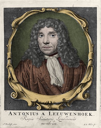 Porträtt av Antonie Van Leeuwenhoek eller Anton van Leeuwenhoek, eller Leeuwenhoek, eller Leeuwenhoeck. holländsk naturforskare (1632-1723). gravyr från 1722. av Unknown artist