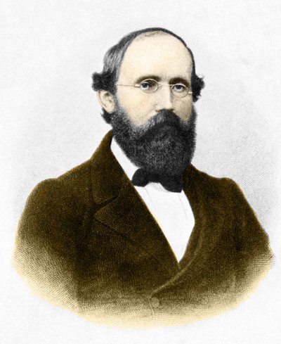 Porträtt av Bernhard Riemann (1826-1866.) tysk matematiker av Unknown artist