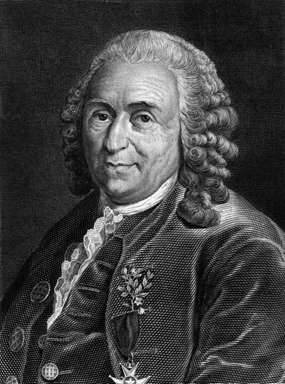 Porträtt av Carl Von Linné svensk naturforskare och författare (1707 - 1778). Sd. gravyr från 1800-talet. av Unknown artist