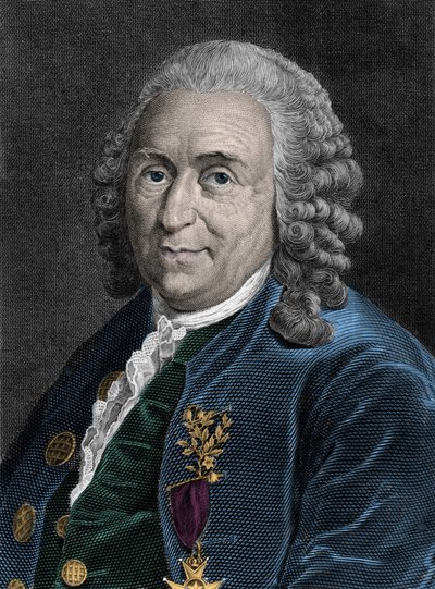 Porträtt av Charles Linne (Carl von Linne, Linneus 1707-1778), svensk naturforskare. Gravyr av 1800-talet. av Unknown artist