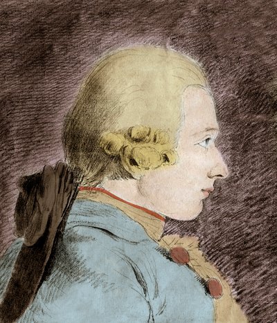 Porträtt av Donatian Alphonse Francois de Sade (1740-1814) (Marquis de Sade) - efter Van Loo av Unknown artist
