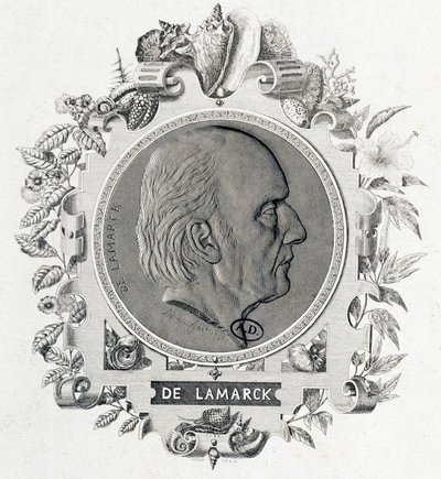 Porträtt av Jean Baptiste Lamarck - gravyr av Unknown artist
