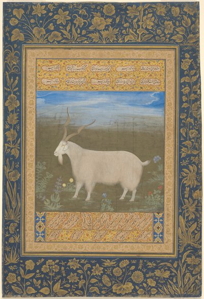 Porträtt av en ladakhisk bergsget av Unknown artist