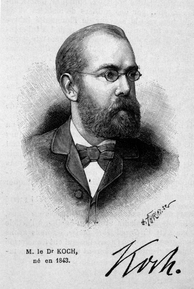 Porträtt av den tyske läkaren Robert Koch (1843-1910). av Unknown artist
