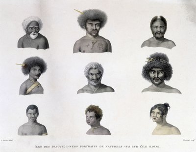 Porträtt av Papua från Rawak Island. av Unknown artist