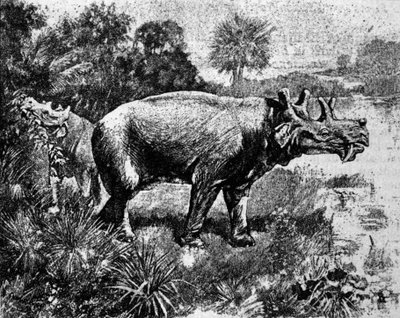 Förhistoria: representation av en fyrhornig Uintatherium-dinosaurie. av Unknown artist