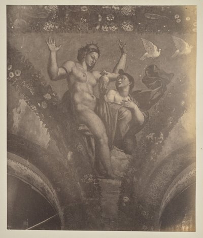 Psyke ger potten till Venus av Unknown artist