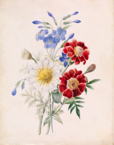 Röda och blå blommor och vit tusensköna av Unknown artist
