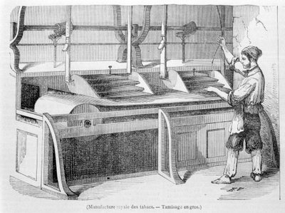 Royal Tobacco Factory: Grossistsiktning av tobak. 1800-talsgravyr. av Unknown artist