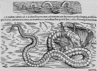 Sjöorm, marin varelse efter Conrad (= Konrad) Gesner av Unknown artist
