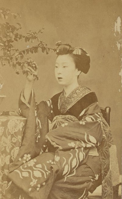 [Sittande japansk kvinna] av Unknown artist