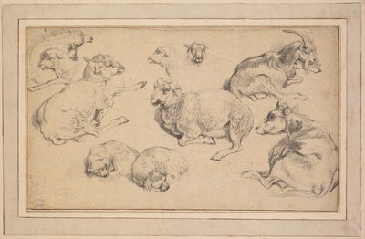 Studieblad med får, getter och hundar av Unknown artist