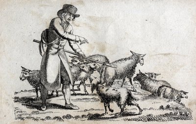 Herde med sin fårhjord. Gravyr sent 1700-tal. Privat samling. av Unknown artist