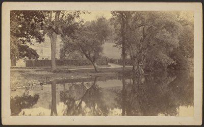 [Silverspring Pond] av Unknown artist