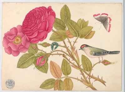 Liten rödhårig fågel på rosengren av Unknown artist