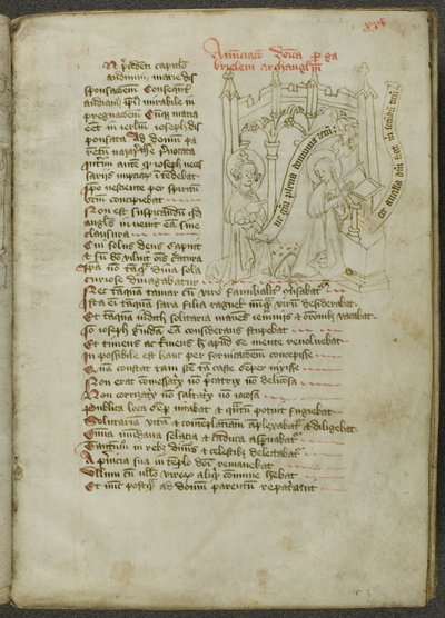 Speculum Humanae Salvationis av Unknown artist
