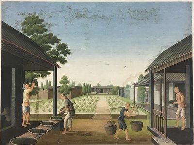 Spinning av tyg, beredning av teblad, beredning av silke av Unknown artist
