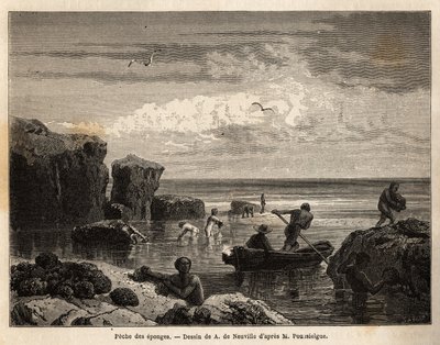 Svampfiske av öborna på Anastasia Island, ett lågt sto, samlas kvinnor och barn bland klipporna och män går ombord på kanoter för att dyka och återhämta dem på havets botten. Gravyr för att illustrera berättelsen fyra månader i Florida, av Achille Po av Unknown artist