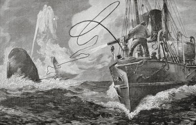 Ångare som valfångare av Unknown artist