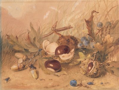Stilleben med ekollon och hästkastanjer av Unknown artist