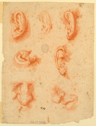 Studier av fem öron, näsor och en mun av Unknown artist