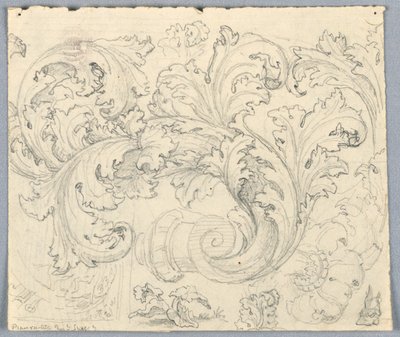 Studie för Curling Acanthus Ornament av Unknown artist