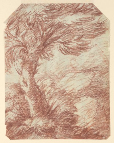 Studie av träd av Unknown artist