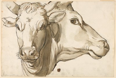 Studie av en ko av Unknown artist