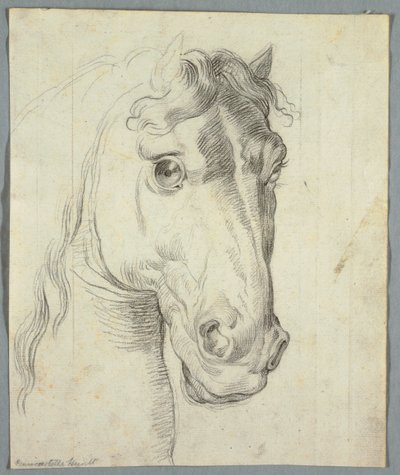 Studie av en häst av Unknown artist