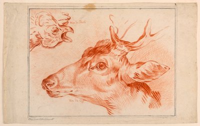 Studie av huvuden på en kyckling och hjort av Unknown artist