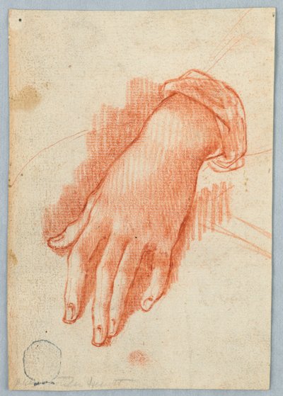 Studie av en kvinnas vänstra hand av Unknown artist