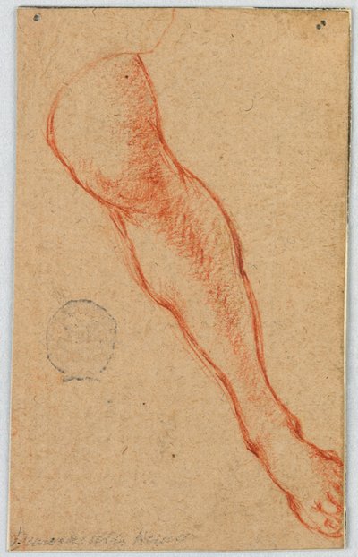 Studie av en sittande kvinnas vänstra ben av Unknown artist