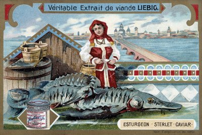 Stör, sterlet, kaviar, med en ung kvinna som håller i hinkar, framför en rysk stad - Liebig-kromolitografi av Unknown artist