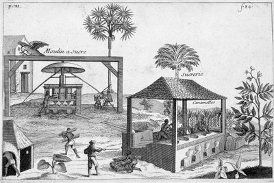 Sockertillverkning: Sockerkvarn och sockerkvarn - i "" General History of Drugs, Simple and Compounded"" av Pomet av Unknown artist