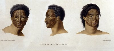 Tatueringar av en infödd i Nya Zeeland. av Unknown artist
