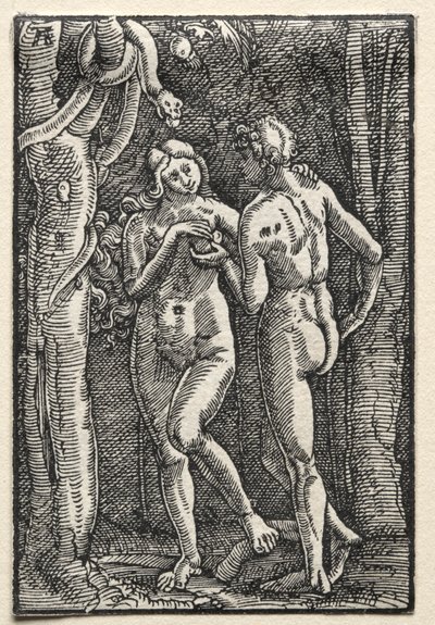Människans fall och återlösning av Unknown artist