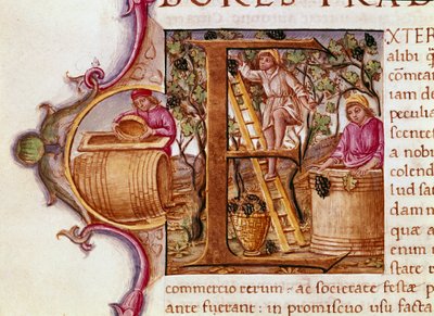 Skördebrevet för manuskriptet "" Natural History"" av den romerske författaren och naturforskaren Plinius den äldre (23-79 e.Kr.) 1400-talets Venedig Biblioteca Marciana av Unknown artist